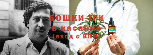 прущие крисы Алзамай