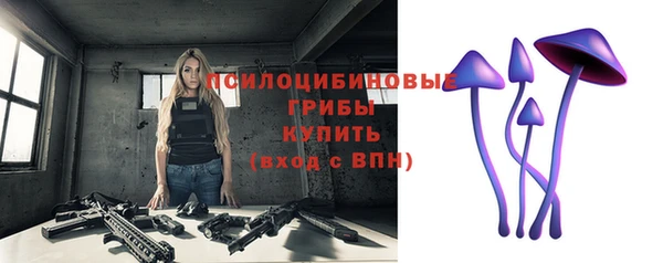 прущие крисы Алзамай