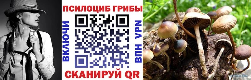 Псилоцибиновые грибы GOLDEN TEACHER  Карабаш 